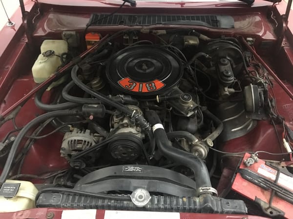 COAL: 1987 Plymouth Gran Fury- Rebel Yell 6 IMG 1732
