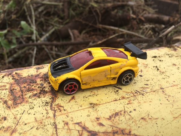 CC Find/QOTD: My Latest Addition To Found Objects On My Dash - What's On Your Dash? 2 CC 392 021
