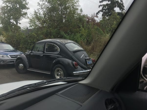 Drive By Shootings: Part 2 5 CC 426 091
