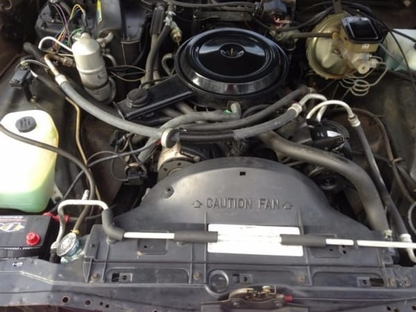 COAL: 1984 Chev Caprice - Second Verse, Same(?) as the First 13 1984 Chevrolet Caprice Engine Bay 001