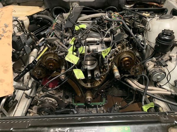 Alfa of a Lifetime: 1991 Alfa Romeo 164 S, Part 3 - The Long Way Back. 5 F8297B0F B13F 4162 BF30 9D96E9DB104C 1 105 c
