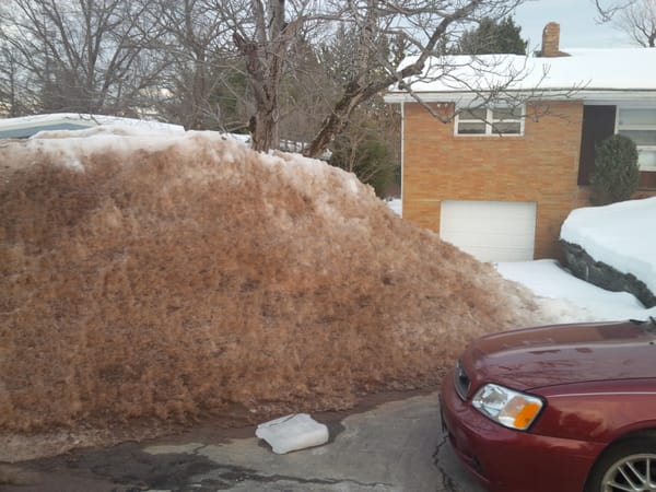 carinlibertyonfrontofsnowydriveway