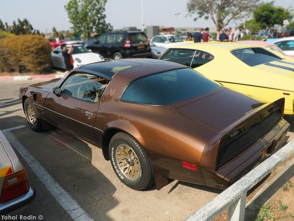 Car Show Classics: It's the Smorgasbord That is Israel's Classic Community 15 1980 Brown Pontiac Trans-Am