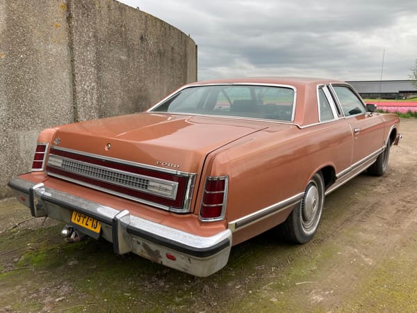 Cohort Pic(k) Of The Day: 1977 Ford LTD - No Way To Ignore 4 52875042821 502c362258 k