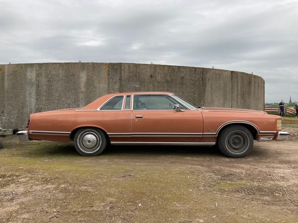 Cohort Pic(k) Of The Day: 1977 Ford LTD - No Way To Ignore 2 52875422580 49866fb7b7 k