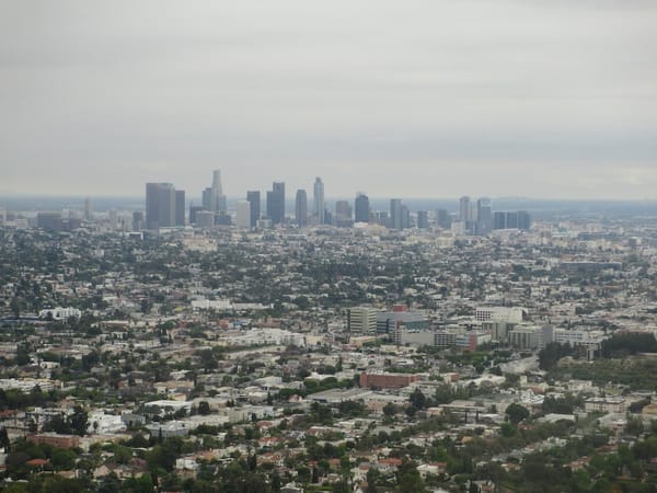 IMG 0651