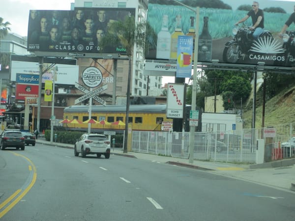 IMG 0675