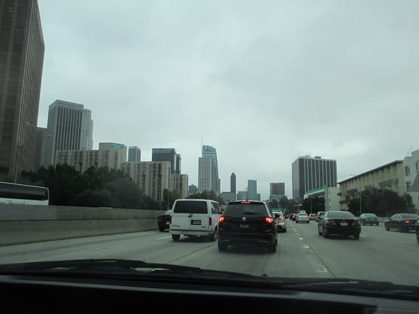 IMG 0731