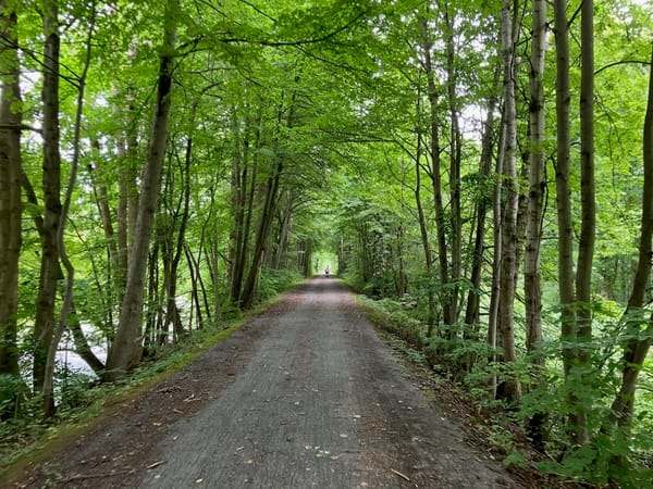 Bikes, Boats and Automobiles: Cycling the Erie Canal 2024 (Part 2) 31 IMG 0516