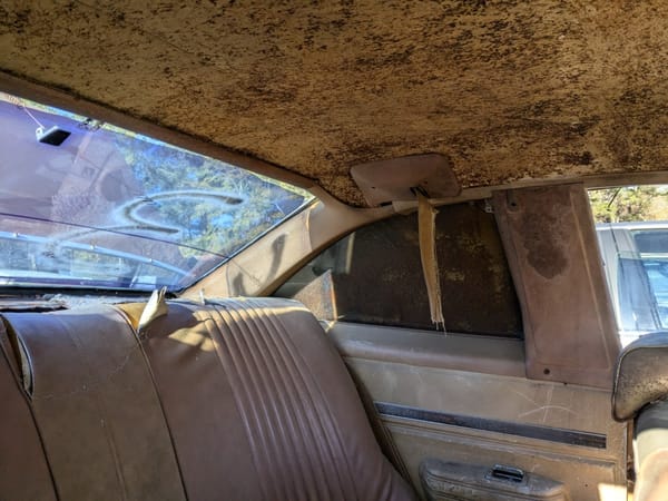 Junkyard Classic: 1978 Pontiac Phoenix -- Grady's Fall From Grace 5 pontiac1