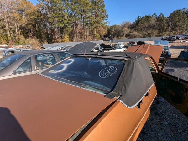 Junkyard Classic: 1978 Pontiac Phoenix -- Grady's Fall From Grace 3 pontiac4