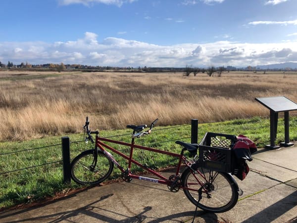 My Life On Two Wheels - And My 1980 Novara Bicycle Gets Its Second Rebuild in 45 Years 30 IMG 2394