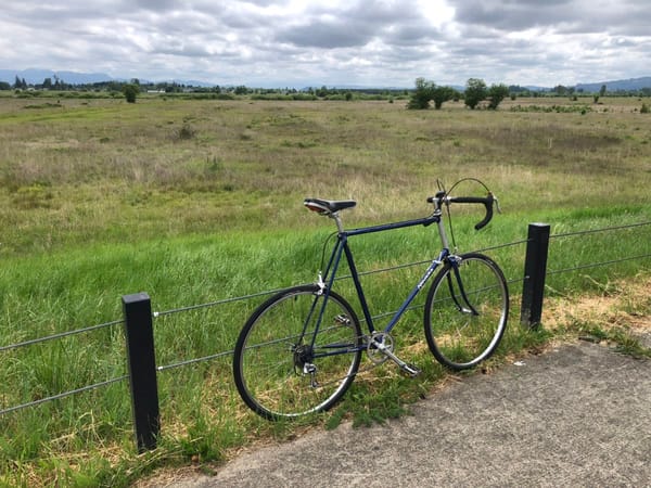 My Life On Two Wheels - And My 1980 Novara Bicycle Gets Its Second Rebuild in 45 Years 29 IMG 3132