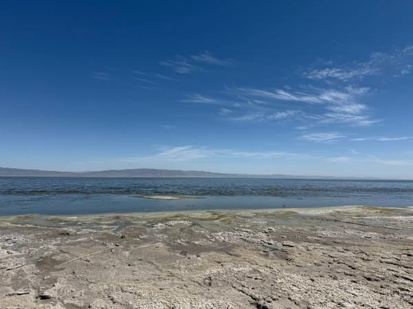 Salton Sea 2