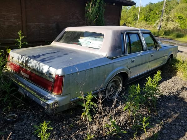 Trail Side Classics: '67 Galaxie 500 Sedan And Other Finds Along the Montour Trail 19 20250525 080548 54544499680 o
