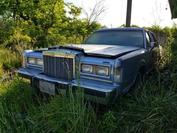 Trail Side Classics: '67 Galaxie 500 Sedan And Other Finds Along the Montour Trail 16 20250525 080611 54543278172 o
