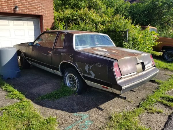 Trail Side Classics: '67 Galaxie 500 Sedan And Other Finds Along the Montour Trail 42 20250525 084725 54544346299 o