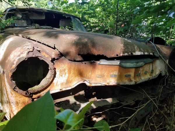 Trail Side Classics: '67 Galaxie 500 Sedan And Other Finds Along the Montour Trail 44 20250525 093536 54544346209 o