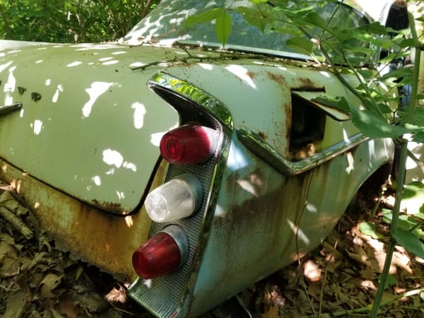 Trail Side Classics: '67 Galaxie 500 Sedan And Other Finds Along the Montour Trail 49 20250525 093649 54543276152 o
