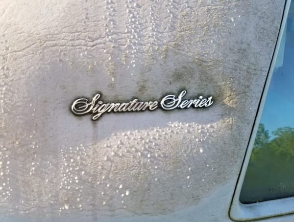 Trail Side Classics: '67 Galaxie 500 Sedan And Other Finds Along the Montour Trail 18 20250525 080541 54544499745 o e1750946193761