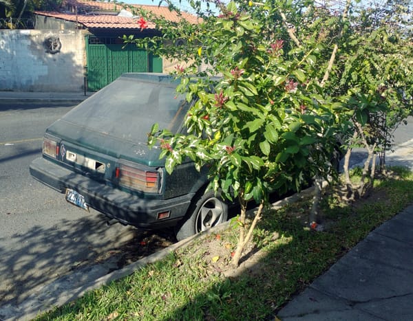 Curbside Find: 1987-88 Nissan Sentra 3-door Hatchback - Remember Me? 3 IMG 20230220 154312072