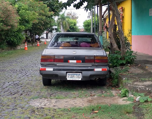 IMG 20241116 114349