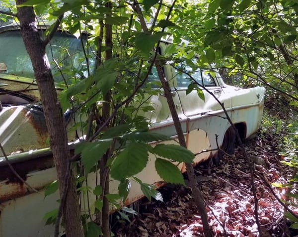 Trail Side Classics: '67 Galaxie 500 Sedan And Other Finds Along the Montour Trail 47 Captura de pantalla 2025 06 26 07.41.42