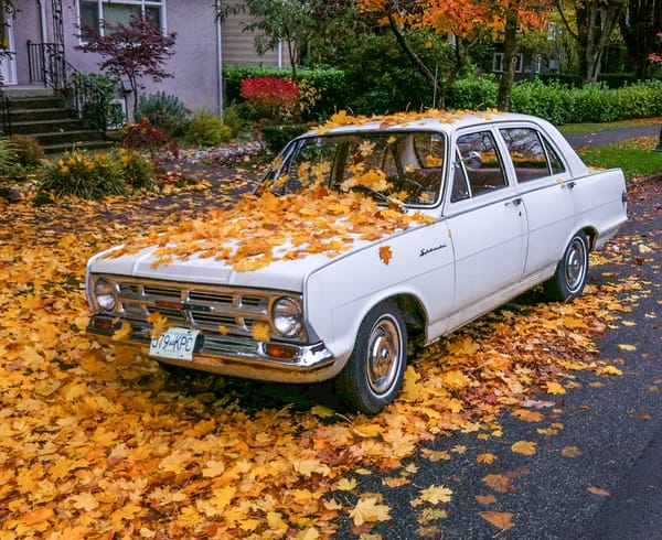 Curbside Classic: 1965(ish) Envoy Special - Don't Mention the Vauxhall! 1 Vauxhall Envoy L34