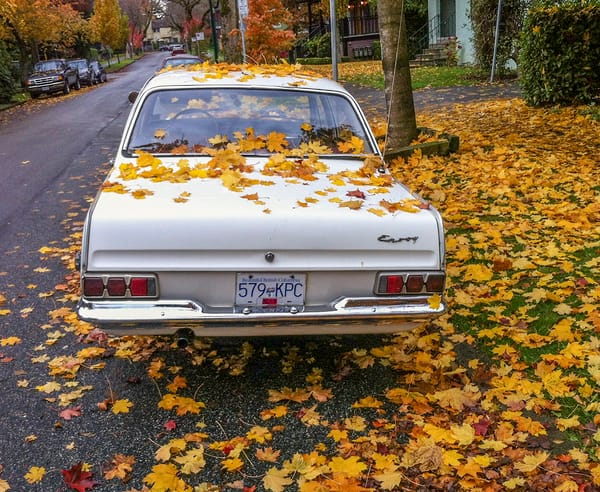 Curbside Classic: 1965(ish) Envoy Special - Don't Mention the Vauxhall! 4 Vauxhall Envoy Rear