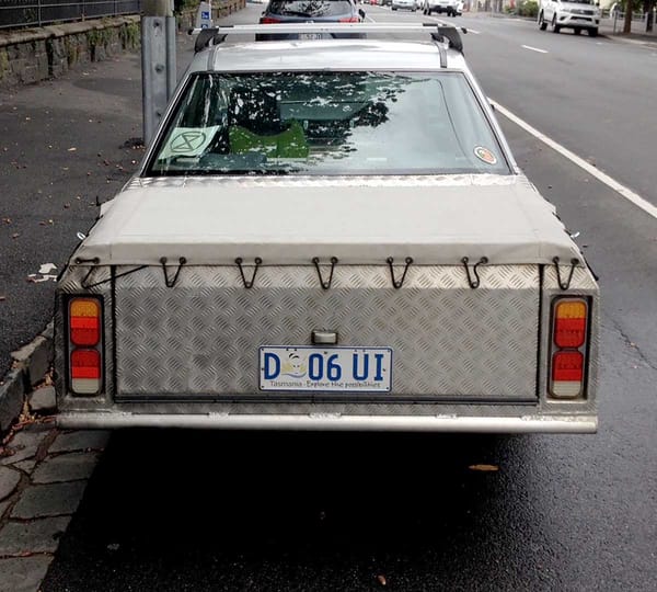 trunkblank