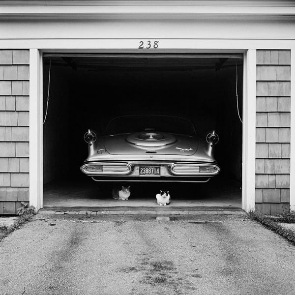 Artistic Outtake: A Trip to the Gallery 3 garage