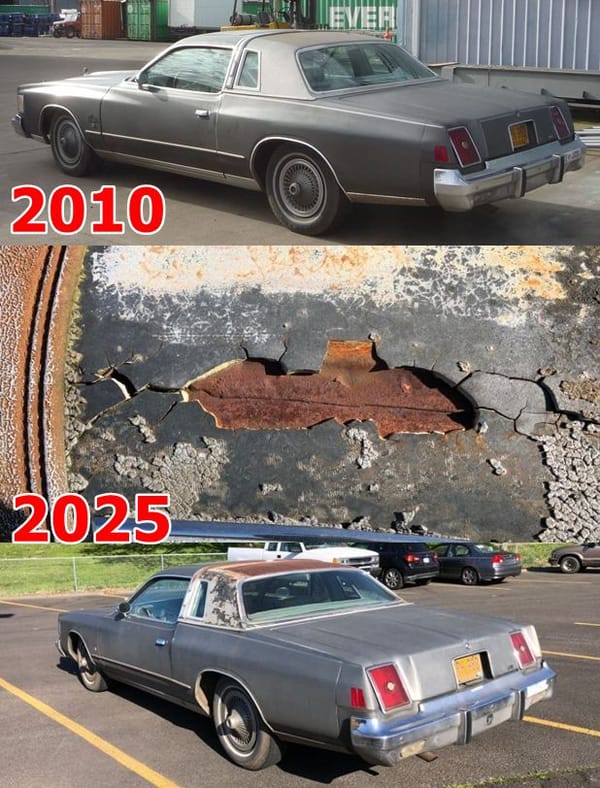 15 Years Outside Has Ravaged The Roof On This Chrysler Cordoba - A Neglected Family Heirloom 1 a cord3 crop 2 vert 2