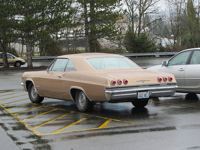 Cohort Outtake 1965 Impala SS Coupe Those Taillights Must Have