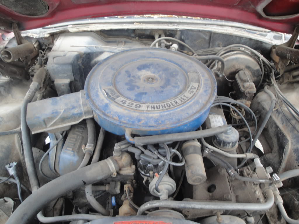 1969 Ford thunderbird engine options #4