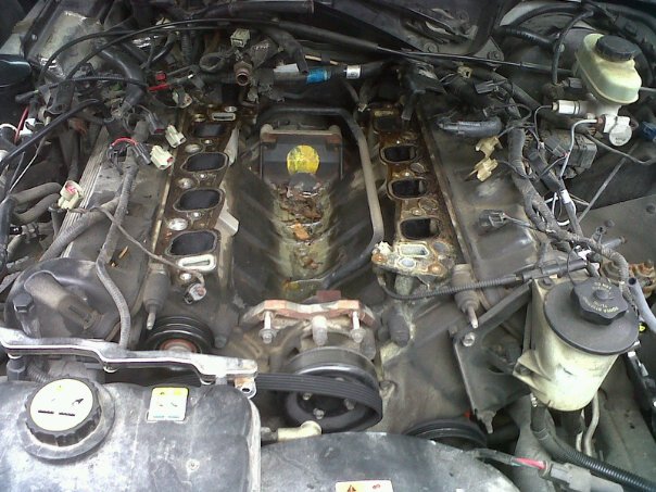 4.6 Liter ford engine oil change #4