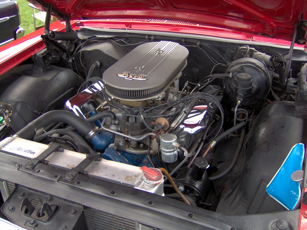 Weight of ford 360 engine #3