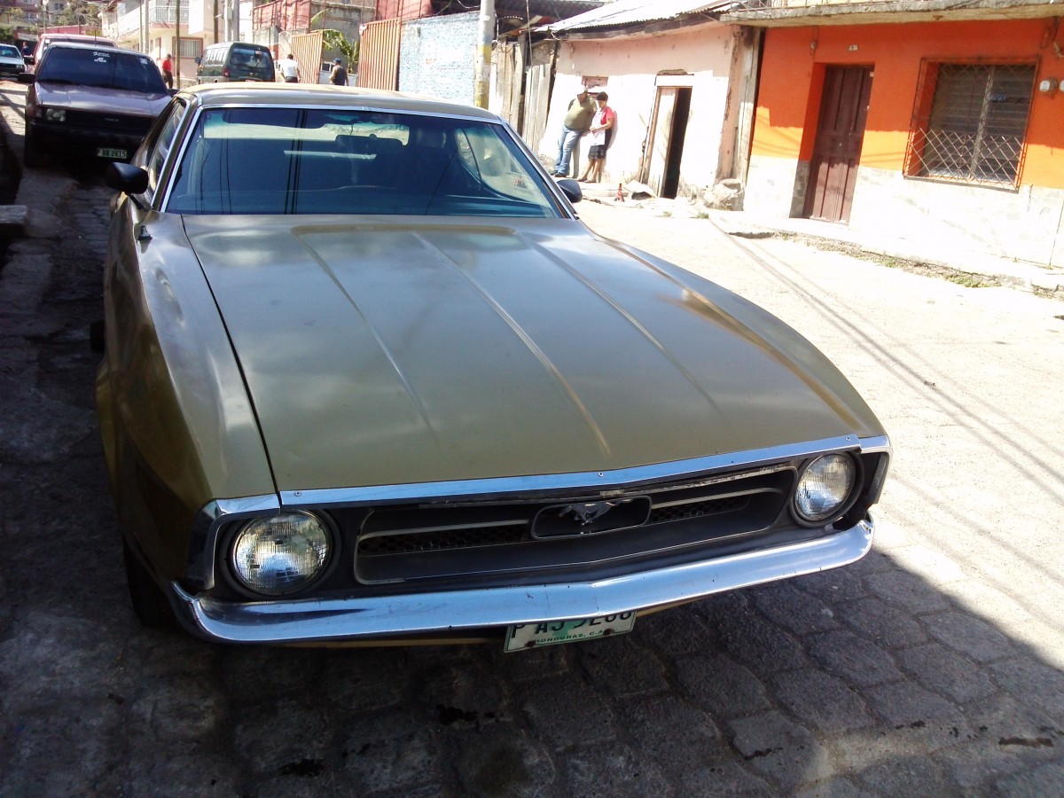 Ford mustang geneology #5