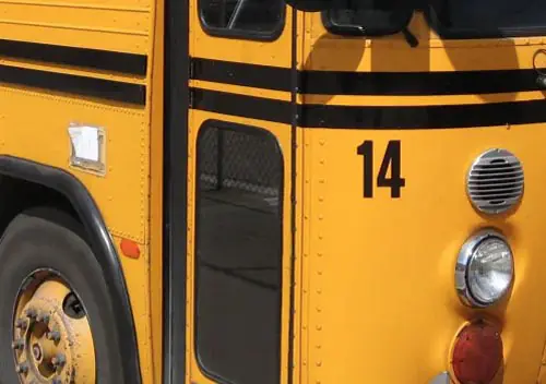 Buses